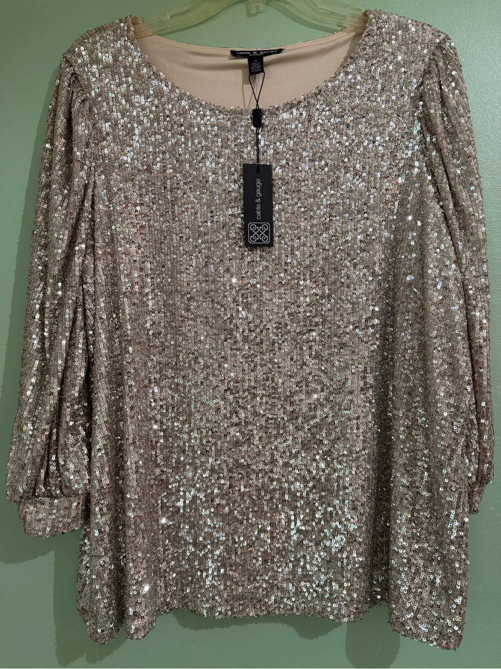 Silver Sequin Scoop Neck Balloon Sleeve Top 1X